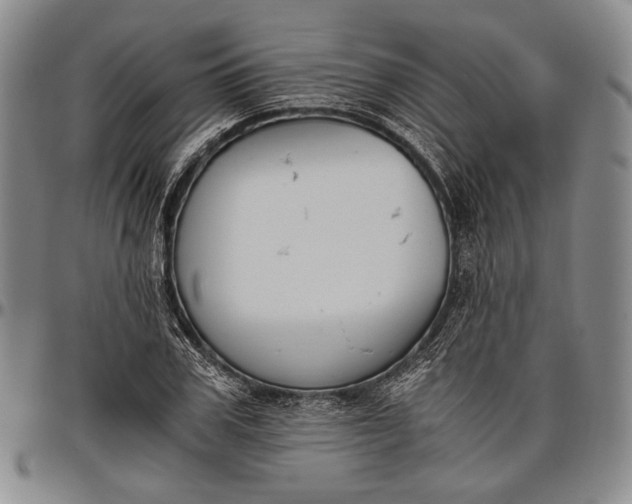 X0000096640979200802191216