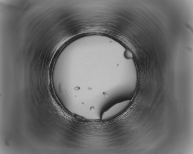 X0000096640980200802191215