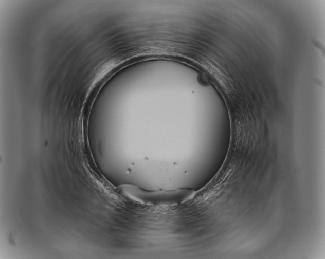 X0000096640982200802191215