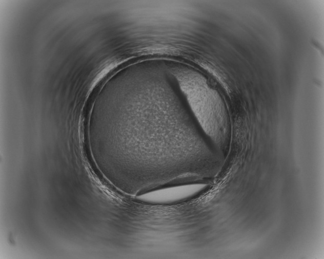 X0000096640983200802191215