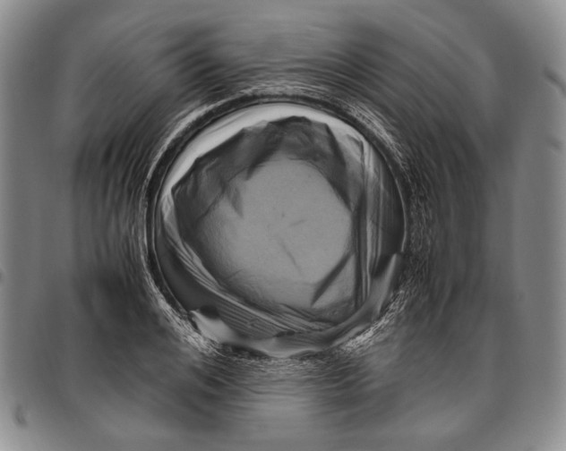 X0000096640984200802191215