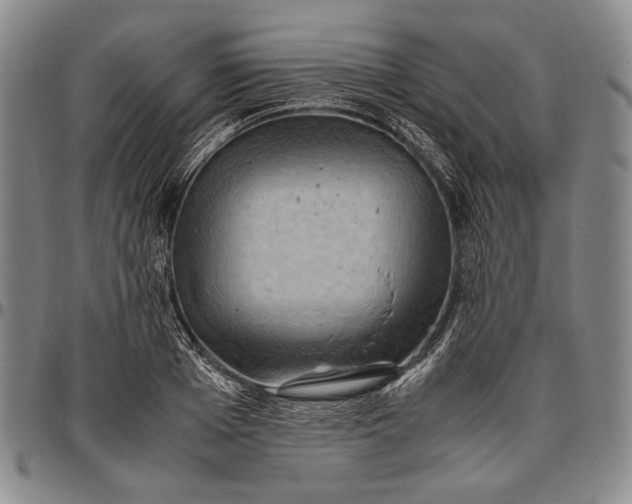 X0000096640985200802191215