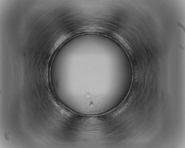 X0000096640986200802191215