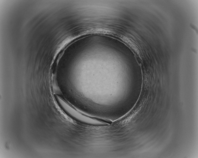 X0000096640989200802191215