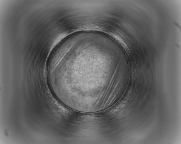 X0000096640990200802191215