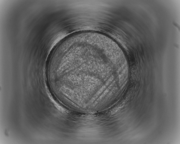 X0000096640991200802191215