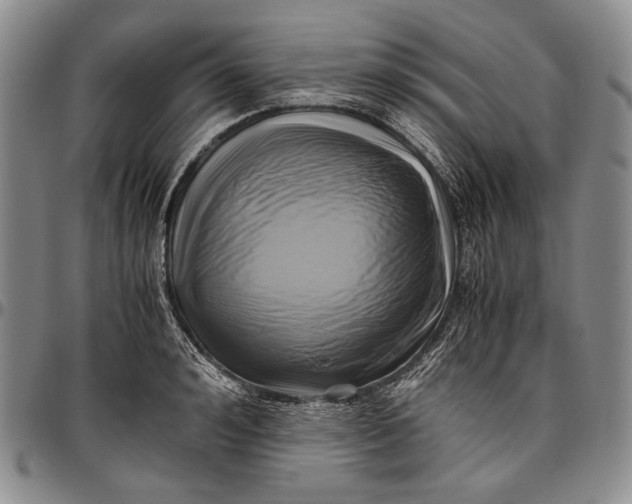 X0000096640992200802191215