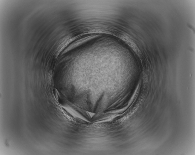 X0000096640993200802191215