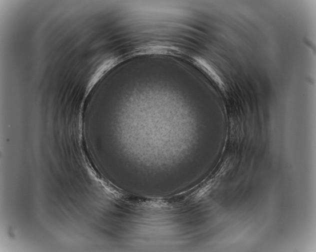 X0000096640994200802191215