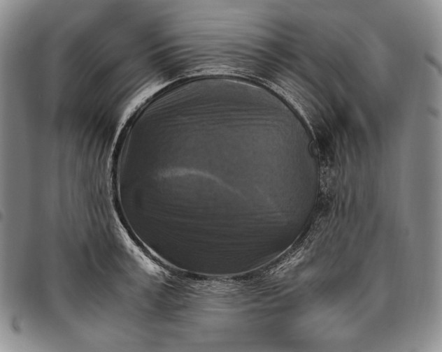 X0000096640995200802191215