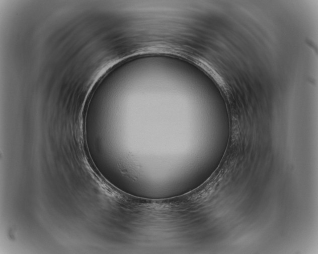 X0000096640996200802191215