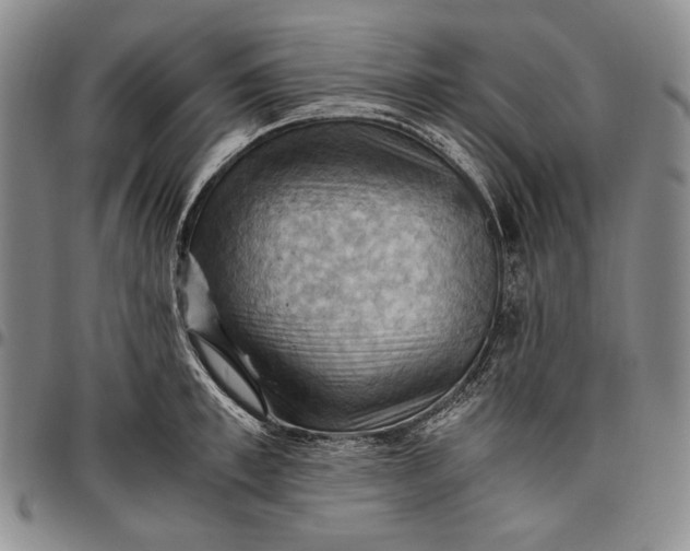 X0000096640997200802191215