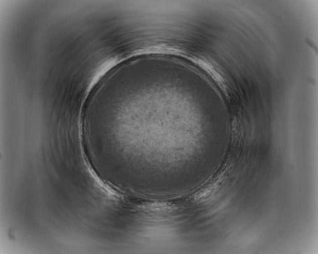 X0000096640998200802191215