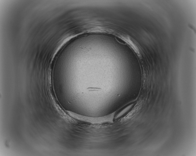 X0000096641000200802191215