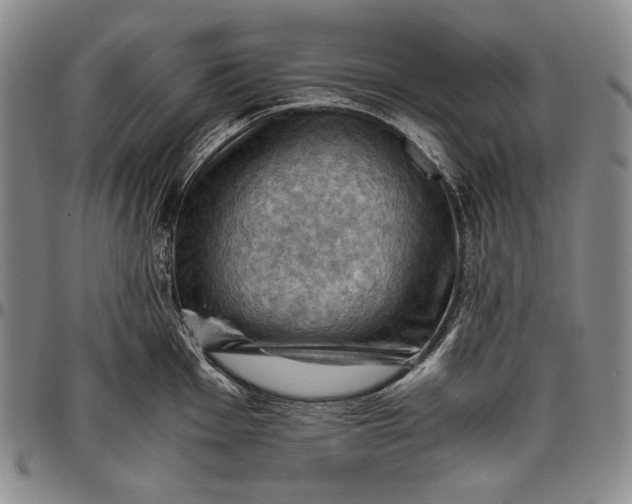 X0000096641001200802191215