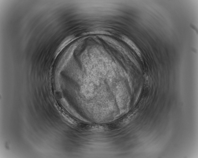 X0000096641002200802191215