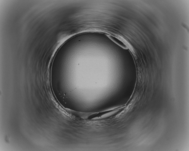 X0000096641004200802191215