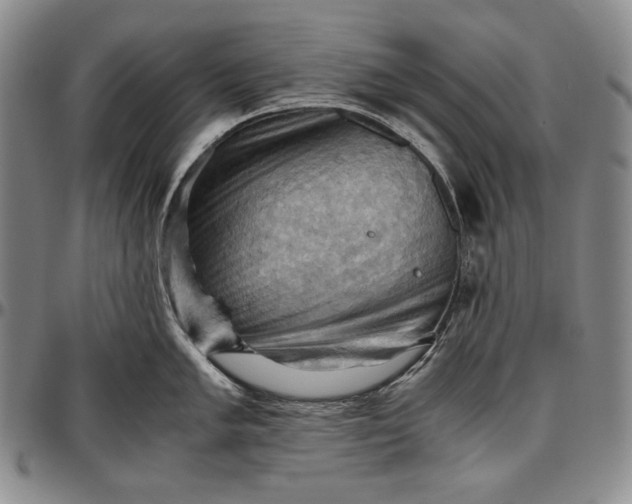 X0000096641005200802191215