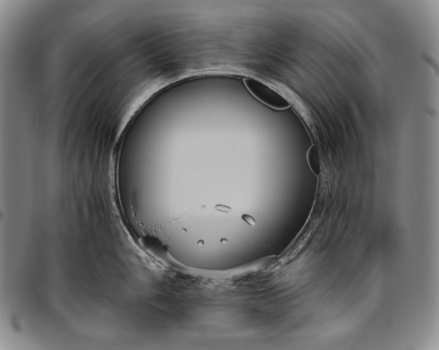 X0000096641006200802191215