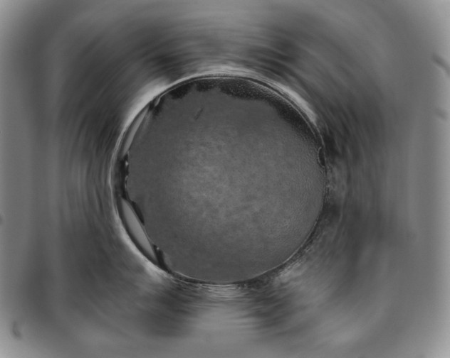 X0000096641007200802191215