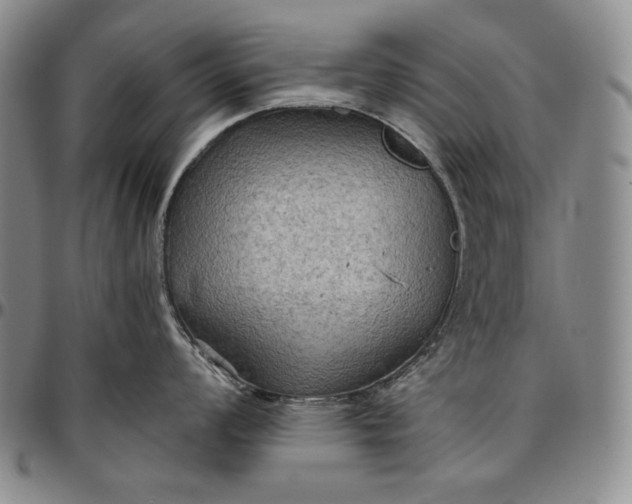 X0000096641008200802191215