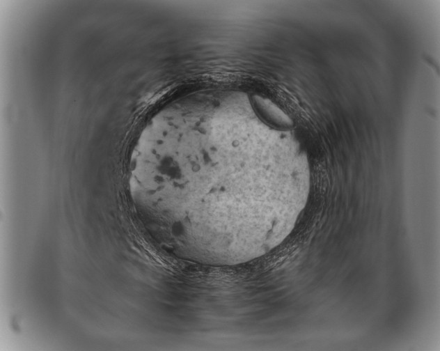 X0000096641009200802191214