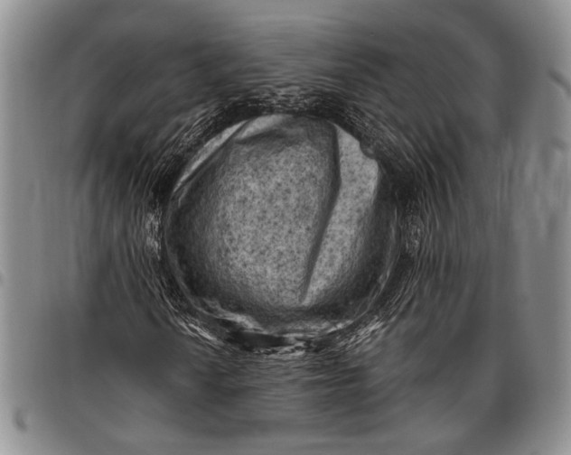 X0000096641010200802191214