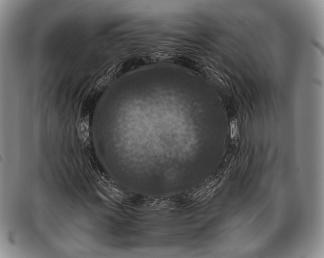 X0000096641011200802191214