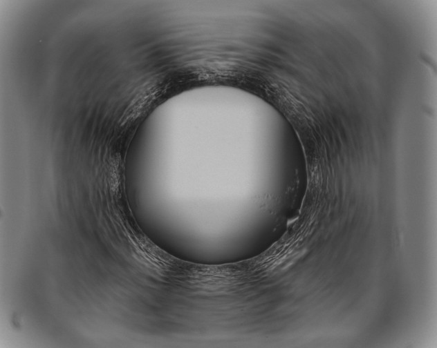 X0000096641012200802191215