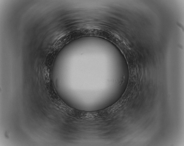 X0000096641013200802191215