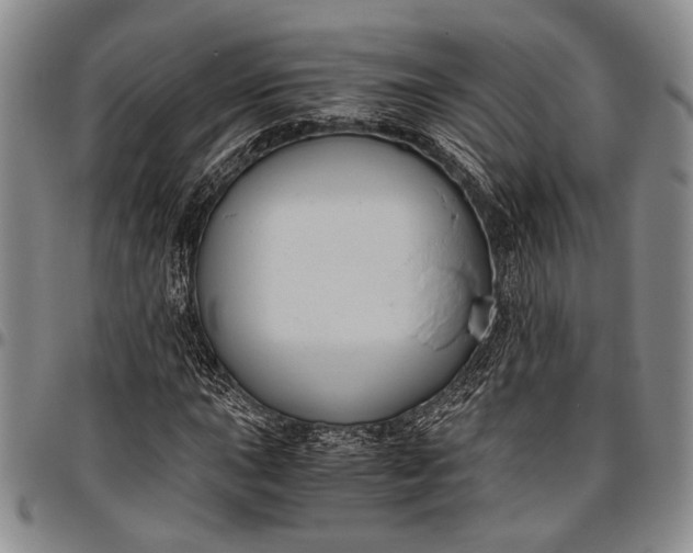 X0000096641015200802191215