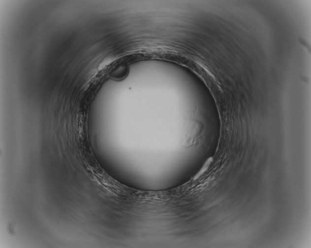 X0000096641016200802191215