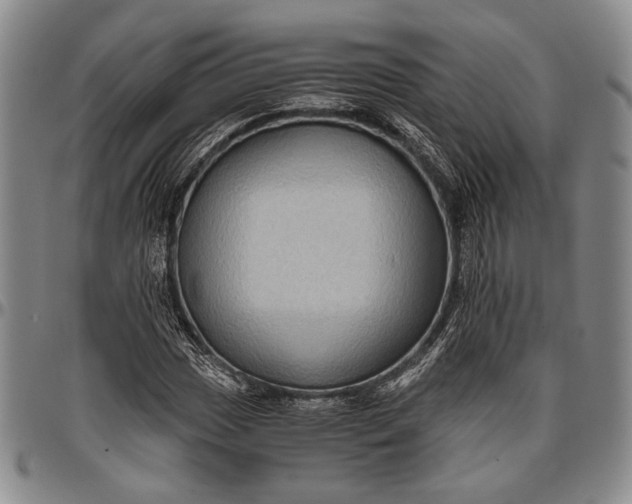 X0000096641017200802191215