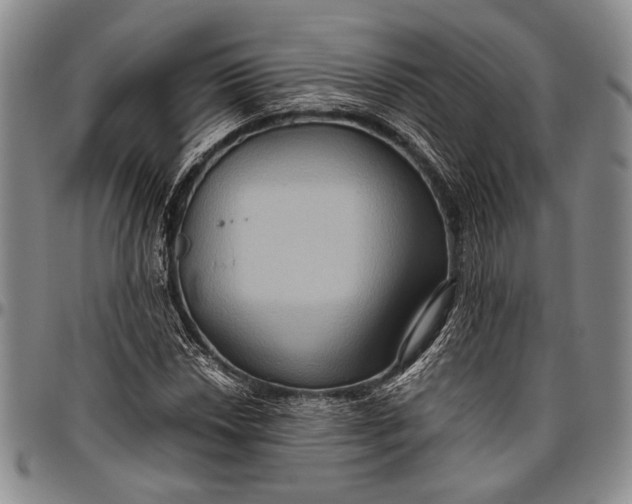 X0000096641018200802191215