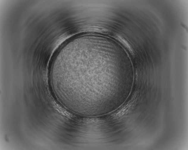 X0000096641020200802191215