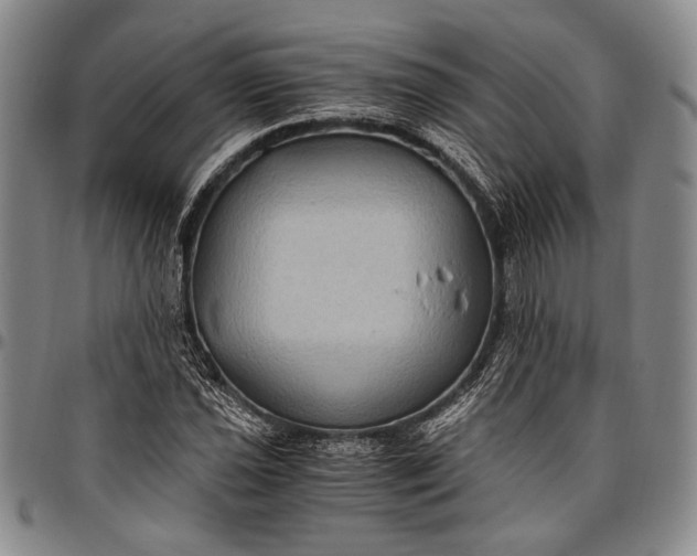 X0000096641021200802191215