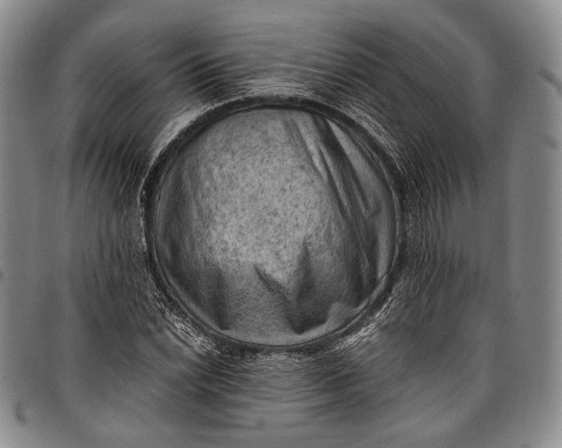 X0000096641022200802191215