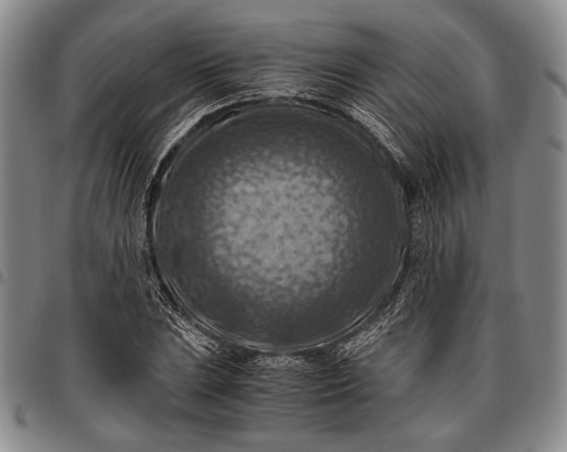 X0000096641023200802191215