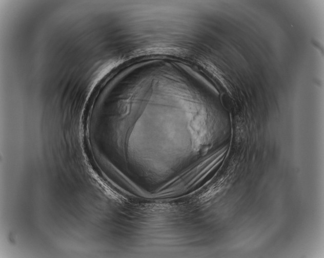 X0000096641024200802191215