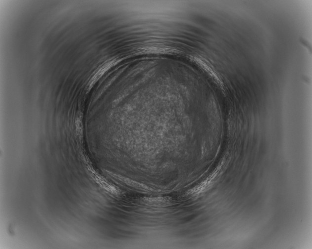 X0000096641025200802191215