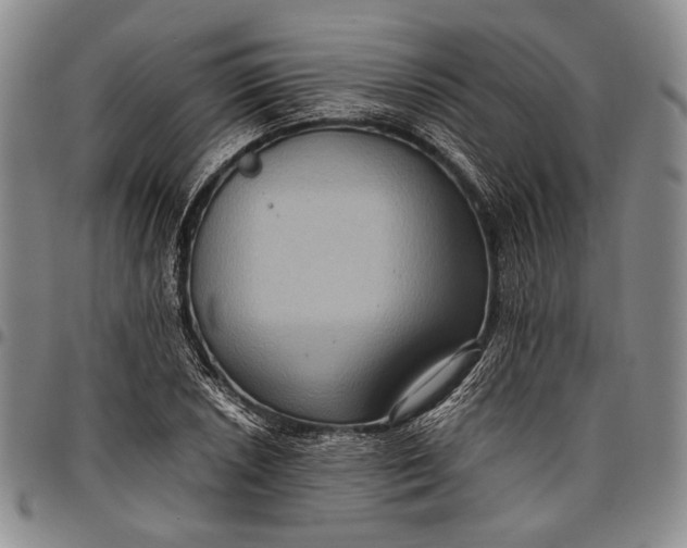 X0000096641026200802191215