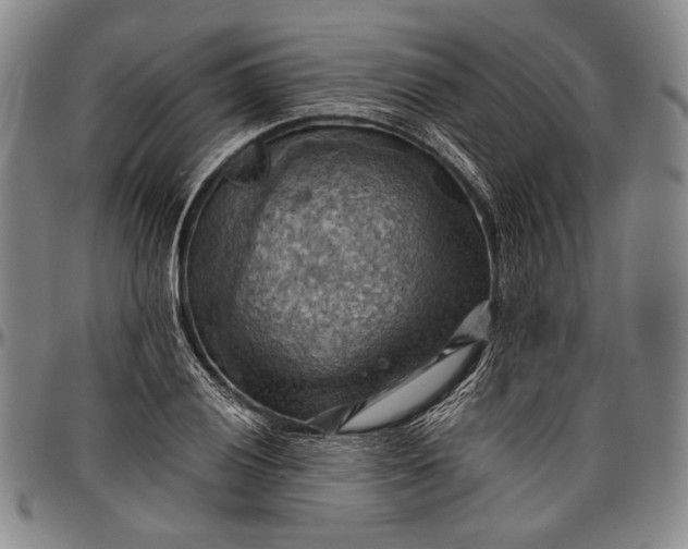 X0000096641028200802191215