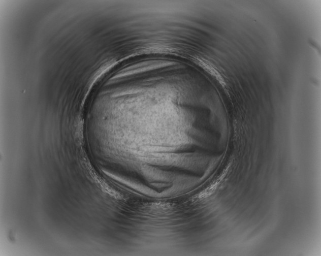 X0000096641029200802191215