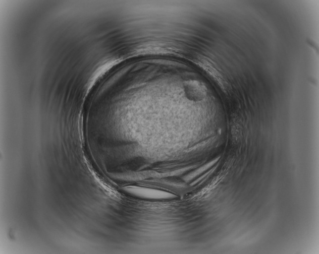 X0000096641030200802191215