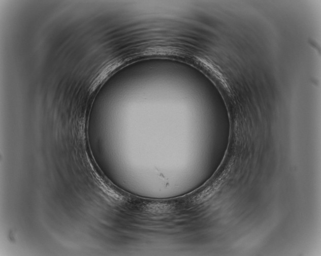 X0000096641033200802191215