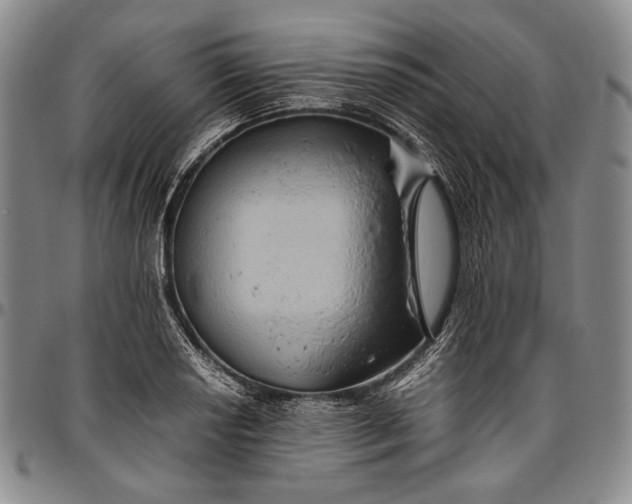 X0000096641034200802191215