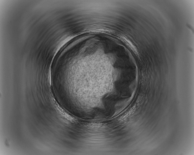 X0000096641036200802191215