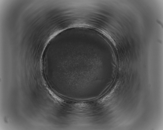 X0000096641037200802191215