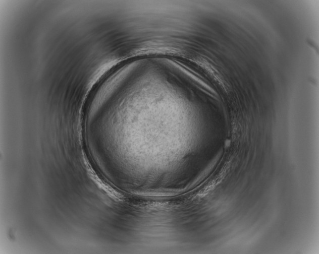 X0000096641038200802191215