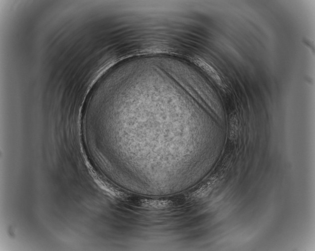 X0000096641039200802191215